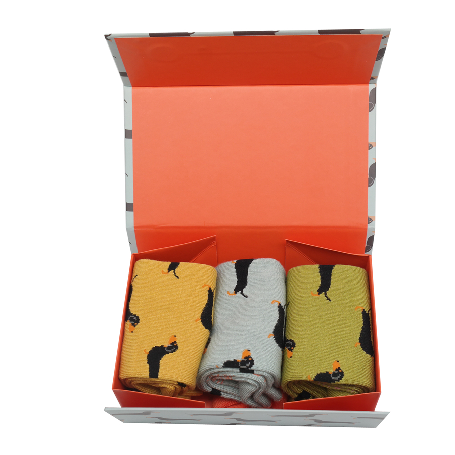 Little Sausage Dogs Socks Box-4853 Little Sausage Dogs Socks Box-4853