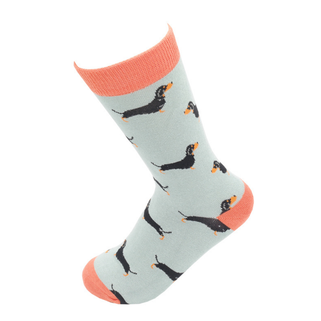 Little Sausage Dogs Socks Duck Egg-0 Little Sausage Dogs Socks Duck Egg-0