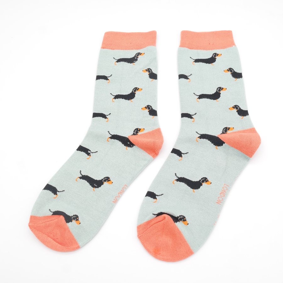 Little Sausage Dogs Socks Duck Egg-4893 Little Sausage Dogs Socks Duck Egg-4893