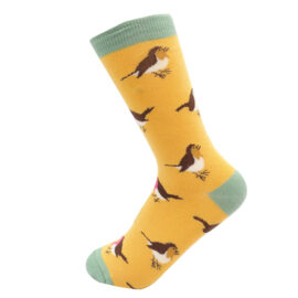 Multicolour Robins Socks Yellow-0