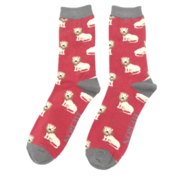 Mr Heron Lions Oxblood-0