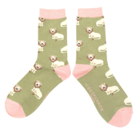 Lions Socks Olive-0