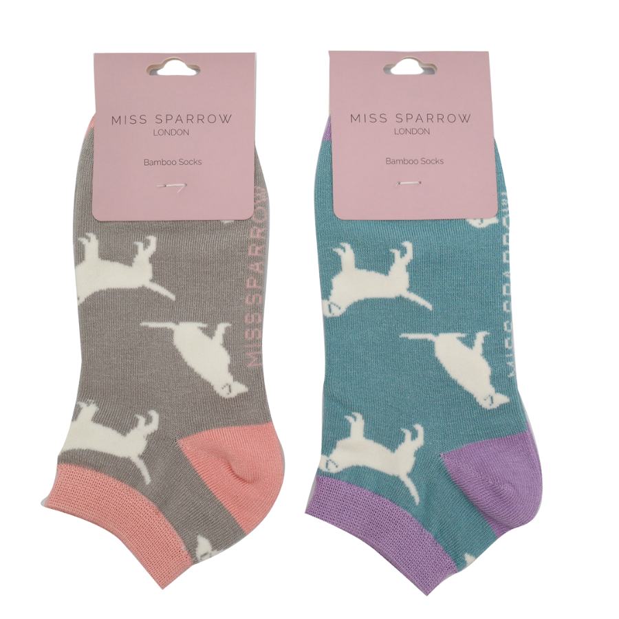 Labradors Trainer Socks Blue-5969 Labradors Trainer Socks Blue-5969