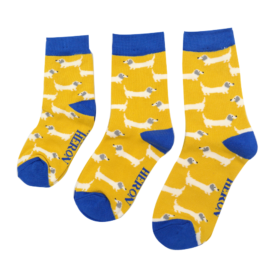 Boys Sausage Dogs Socks Yellow-0