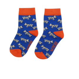 Boys Zebras Socks Blue-0